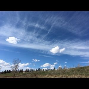 Meet your Posher, Jane